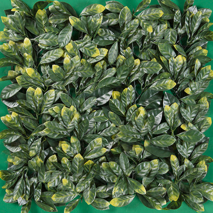 LAUREL DORADO FOLLAJE