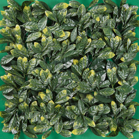 LAUREL DORADO FOLLAJE