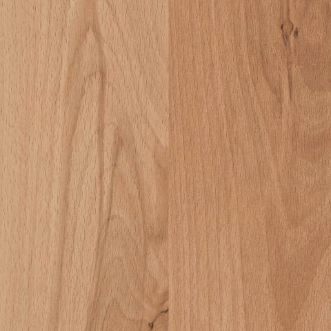 MOUNTAIN BEECH SPLASH